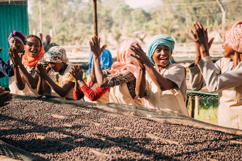 A Triumph of Female Leadership