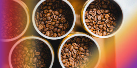 Ready to talk coffee?