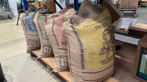 About The Fermentation Project