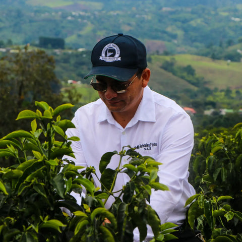 Sustainable Innovation